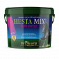 Preview: St.Hippolyt - Hesta Mix light energy