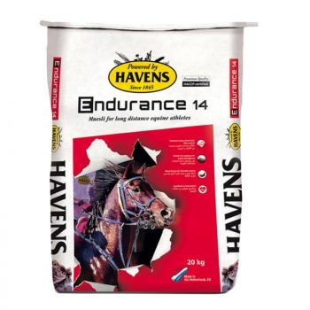 Havens Endurance 20 kg