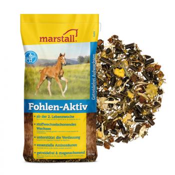Marstall Fohlen-Aktiv 20kg