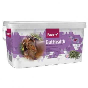 Pavo Gut Health 8 kg