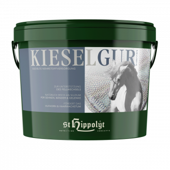 St.Hippolyt - Kieselgur 4 kg