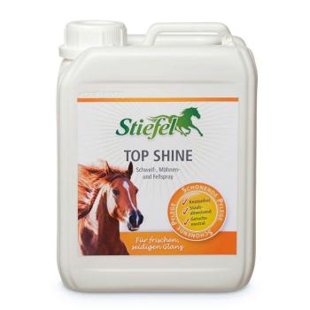 Stiefel Top Shine