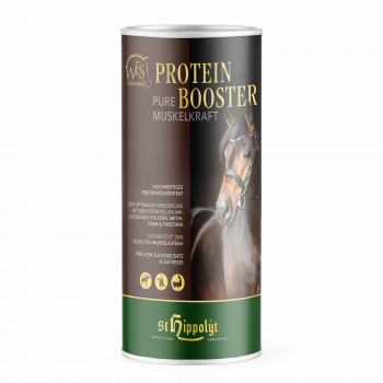 WES Protein Booster 750g