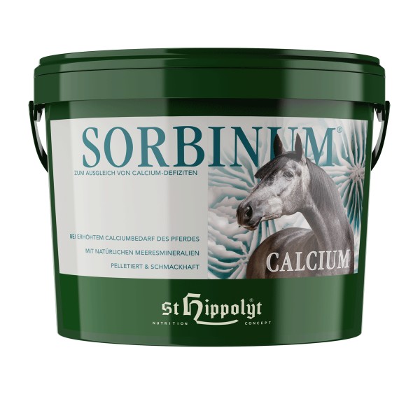 St.Hippolyt - Sorbinum Calcium